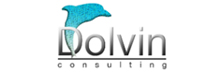Dolvin Consulting 